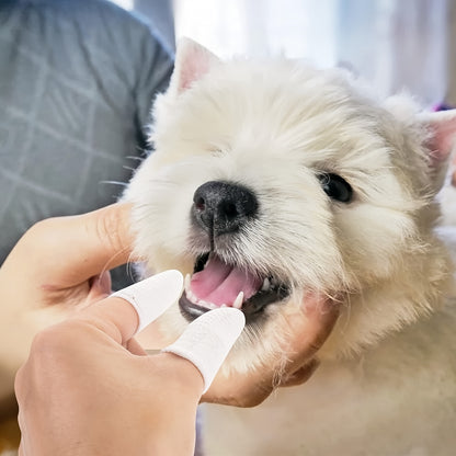 4/8pcs Dog Finger Toothbrush, 360 Degree Soft Dog Finger Toothbrush For Teeth, Durable And Washable Pet Oral Cleaning Tool