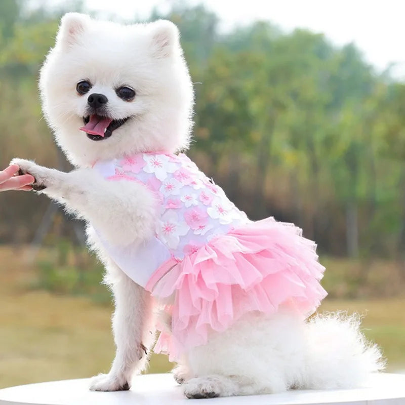 Dog Summer Dress Lace Chiffon Dress for Small Dogs Cat Lovely Floral Dress Pet Party Birthday Skirt Costumes Dog Wedding Dress