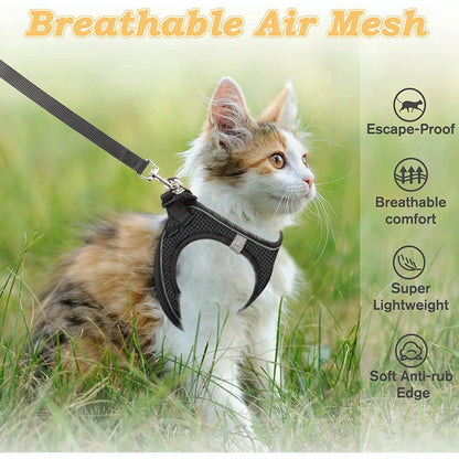 Leash: Cat Harness and Leash for Walking Escape Proof, Adjustable Kitten Vest Harness Reflective Soft Mesh Puppy Harness for Outdoor, C