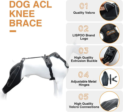 Dog Acl Knee Brace for Torn Acl Leg,Dog Knee Braces for Back Leg Warm Joint and Relieves Joint Pain,Better Recovery