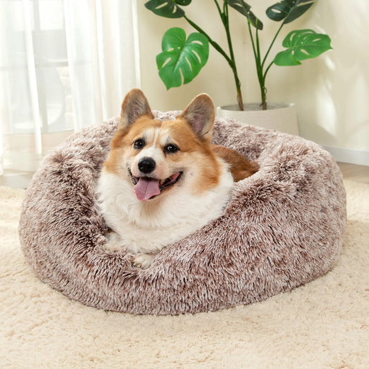 Bed: Round Cat Beds House Soft Long Plush Best Pet Dog Bed For Dogs Basket Pet Products Cushion Cat Bed Cat Mat Animals Sleeping Sofa