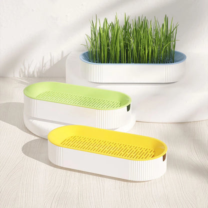 Pet Cat Sprout Dish Growing Pot Hydroponic Plant Cat Grass Germination Digestion Starter Dish Greenhouse Grow Box Excluding seed