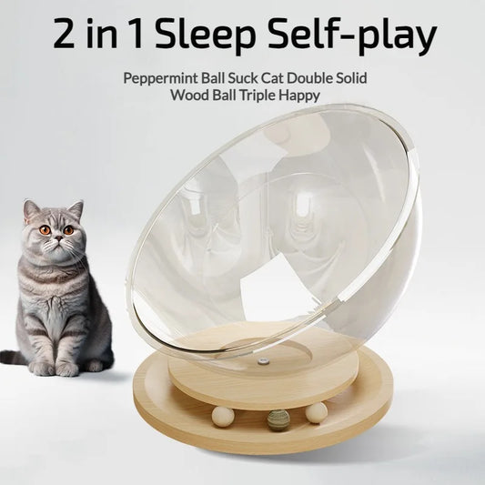 Space Capsule Cat Bed All Seasons Universal Kitten Nest Cat Furniture Pet Accessories for Kitty Cat Hammock Cat House Easy Clean