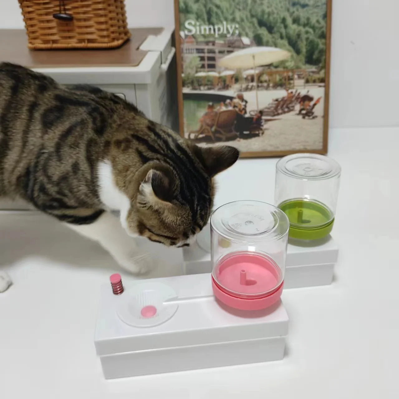 Drinker for Cats Dog Feeding Watering Supplies Feeding And Water Pets Cats Pet Products Fountain Accessories Dogs Dispenser