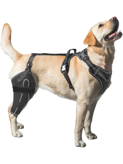 Dog Acl Knee Brace for Torn Acl Leg,Dog Knee Braces for Back Leg Warm Joint and Relieves Joint Pain,Better Recovery