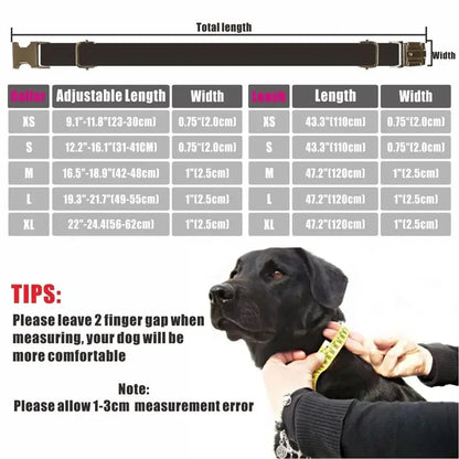 Personalized Dog Collar Customized Pet Collar Free Engraving ID Nameplate Tag Pet Cute Bee Honey Yellow Puppy Collars Leash