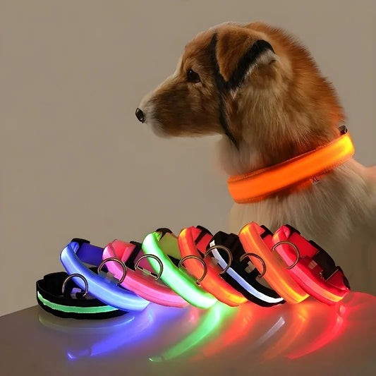 Dog Collar Nylon LED Night Safety Flashing Glow In The Dark Pet Dog Leash pet Dogs Luminous Fluorescent  dog accessories collar