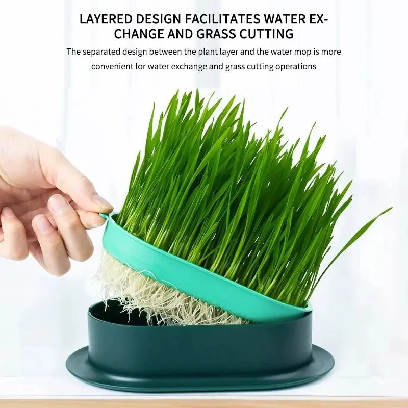 New Pet Cat Sprout Dish Growing Pot Hydroponic Plant Cat Grass Germination Digestion Starter Dish Greenhouse Grow Box