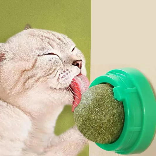 The Catnip Cat Wall Stick-on Ball Toy Scratchers Treats Healthy Natural Removes Balls to Promote Digestion Cat Grass Snack