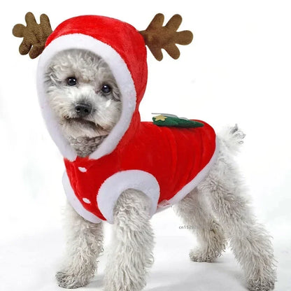 Clothes: Christmas Winter Pet Coat Apparel Outfit Clothes Dog Cat Hoodie Costume for Small Dogs Puppy Chihuahua Yorkshire