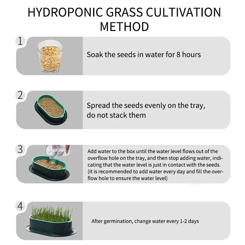 New Pet Cat Sprout Dish Growing Pot Hydroponic Plant Cat Grass Germination Digestion Starter Dish Greenhouse Grow Box