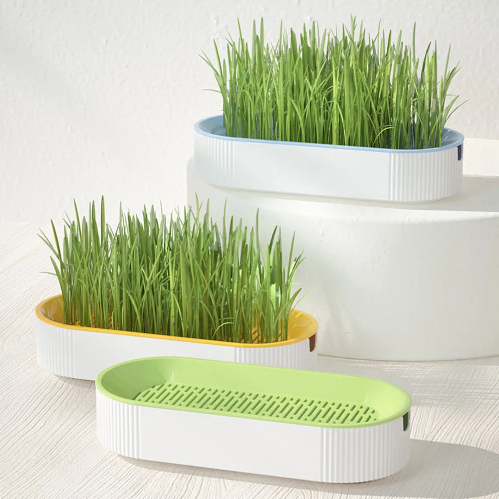 Pet Cat Sprout Dish Growing Pot Hydroponic Plant Cat Grass Germination Digestion Starter Dish Greenhouse Grow Box Excluding seed